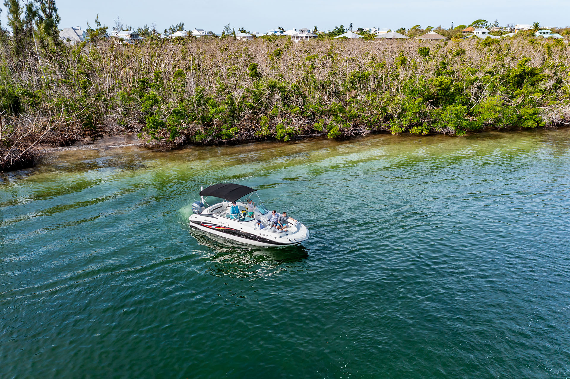 boat searching for dolphins by the mangroves